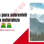 Consejos para sobrevivir en la naturaleza Consejos para sobrevivir en la naturaleza